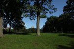 Central Park on a sunny day