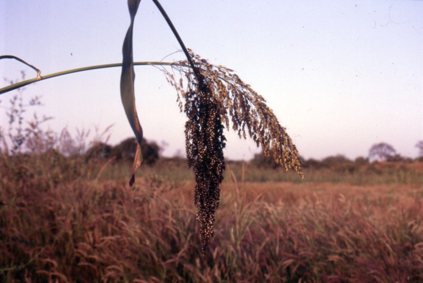 Tra una settimana all’Euro IA: io ci sarò, e&nbsp;voi?